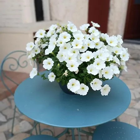 Aux Berges Du Canal Guest house
